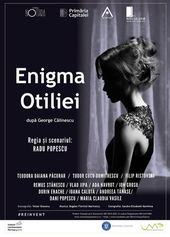 Enigma Otiliei